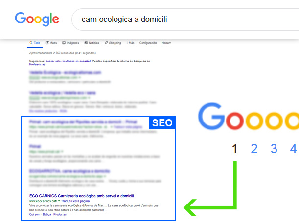 Captura de la primera página de resultados de Google para el término 'carn ecologica a domicili'